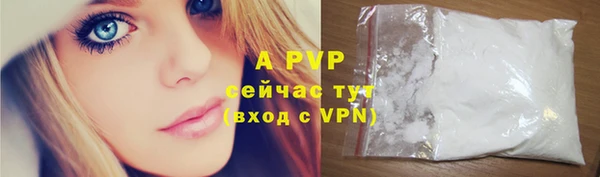 стаф Абаза